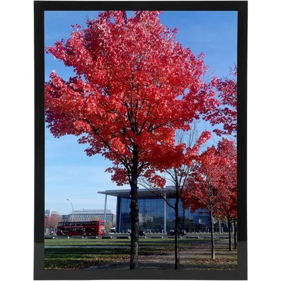 8.5 by11 Picture Frame Black 8.5x11 Diploma Frame Certificate Document Frame Set - Picture 3 of 6